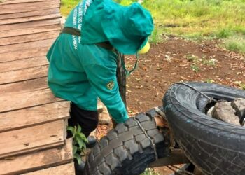 Amazonas emite nota técnica para intensificar prevenção e controle do Aedes aegypti