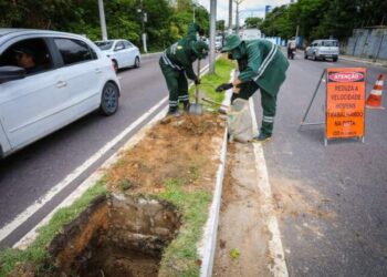 Prefeitura de Manaus dá início ao plantio de 100 mudas em trecho da avenida Mário Ypiranga Monteiro