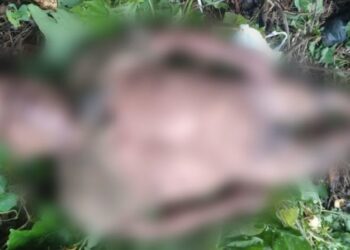 Vendedor de queijo é encontrado morto em área da mata no AM