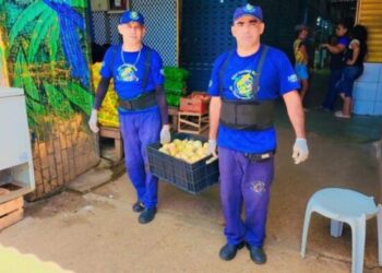 Sepror entrega 1,5 tonelada de alimentos coletados em feiras da capital a famílias em vulnerabilidade