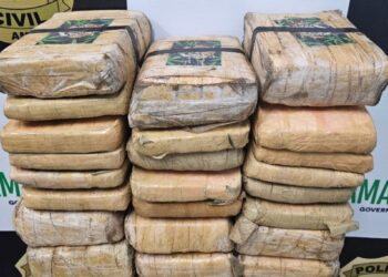 Dupla é presa com 26 tabletes de maconha do tipo skunk na Zona Oeste de Manaus