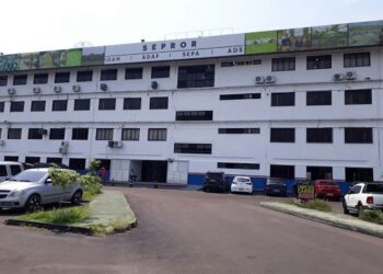 Aprovados no concurso do Idam devem entregar documentos até esta sexta