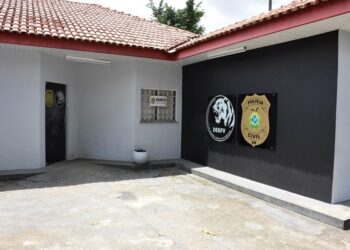 Homem é preso por estelionato em Manaus com veículos roubados e clonados na internet