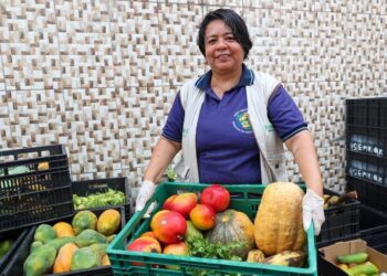 Programa de combate à perda de alimentos arrecadou mais de 350 toneladas em 2023 no Amazonas