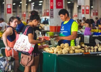 Época de Tucumã: Feira oferta mais de sete mil frutos para venda em Manaus