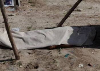 Ajudante de pedreiro é executado a tiros na Zona Norte de Manaus