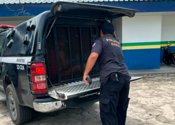 Homem é preso por importunação sexual contra criança no Amazonas