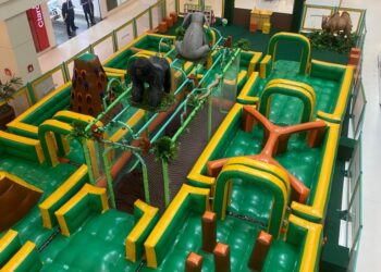 Parque oferece safári na África para crianças em Manaus