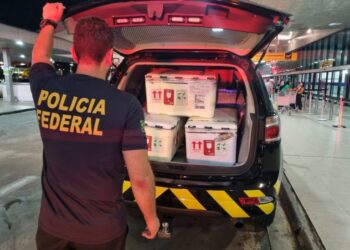 Advogada é presa após tentar despachar 14 arraias vivas no Aeroporto de Manaus