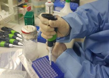 Amazonas destaca potencial de bionegócios como soluções econômicas em conferência de inovação