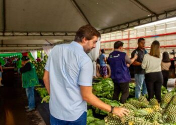 Thiago Abrahim propõe políticas de apoio à reconversão da citricultura no Amazonas