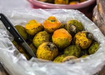 Comerciantes apontam aumento de mais de 100% no preço do quilo de tucumã em Manaus