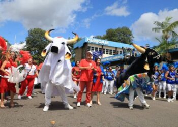 Com bois Caprichoso e Garantido, Hemoam lança p “Junho Azul e Vermelho” para incentivar a doação de sangue