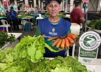 No Dia Mundial do Meio Ambiente, sistema Sepror promove ações voltadas à sustentabilidade