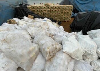 Polícia prende líder de furtos a embarcações no Rio Madeira