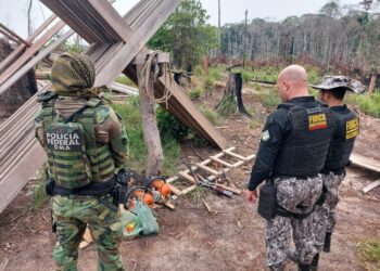 PF prende suspeito de desmatamento e incêndio de 250 hectares de floresta no AM