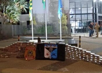 Polícia apreende carga milionária com quase meia tonelada de cocaína