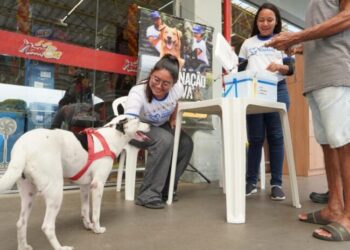 Prefeitura mobiliza tutores de cães e gatos para vacinação antirrábica em novos pontos de atendimento
