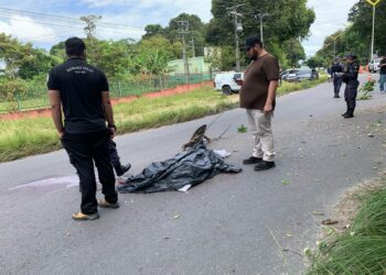 Soldador morre após colidir com árvore na Cosme Ferreira