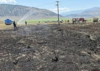 Peixe cai do céu, causa fogo em vegetação e deixa pessoas sem luz no Canadá