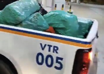 Motorista é preso com meia tonelada de drogas após furar blitz em Manaus