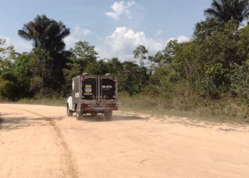 Idoso é encontrado morto com saco na cabeça em ramal na AM-010 