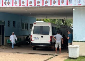 Enxame de abelhas invade ônibus escolar em Iranduba e deixa crianças desacordadas