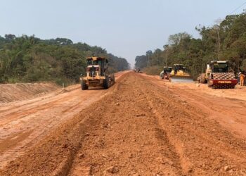 TCU rejeita anulação da licença prévia da BR-319 e mantém licença, reforçando importância estratégica da rodovia