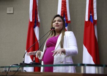 Deputados estaduais apresentam matérias legislativas em benefício de gestantes