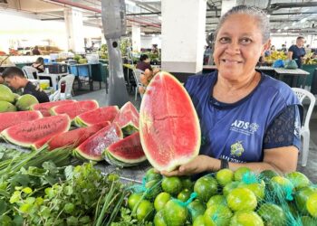 Veja programação das Feiras da ADS com cinco edições especiais em Manaus