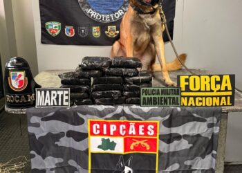 Cadela policial encontra drogas avaliadas em R$ 500 mil no banheiro de embarcação em Coari