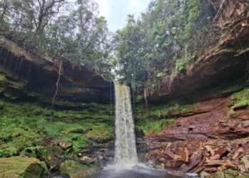 Nova cachoeira é descoberta no Amazonas