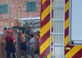 Cachorro é carbonizado durante incêndio em residência no Coroado