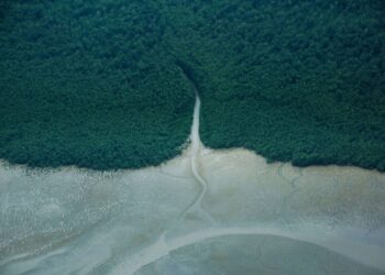 Ibama aprova licenciamento para Petrobras explorar a Foz do Amazonas