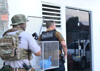 Segurança com inteligência impõe derrota ao crime no Amazonas