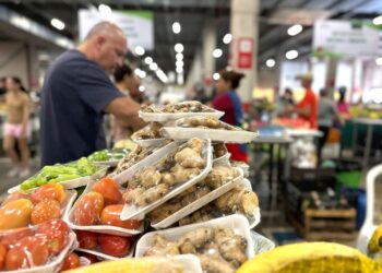Feira de Produtos Regionais terá edição especial na Expoagro em Manaus