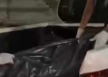 Após assassinato de irmãos, adolescente matou cachorro e fez covas para vítimas no Amazonas