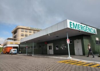 Padrasto linchado por estuprar enteada no União da Vitória morre no hospital