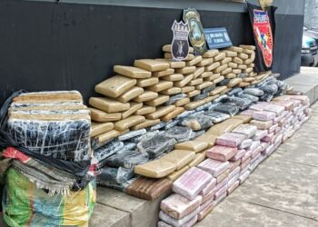 Skunk colombiano que entra pela Amazônia abastece majoritariamente mercado brasileiro, aponta Abin