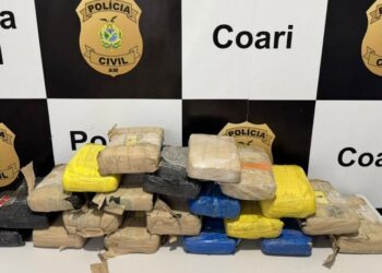 Carga de skunk escondida entre bananas é apreendida em Coari