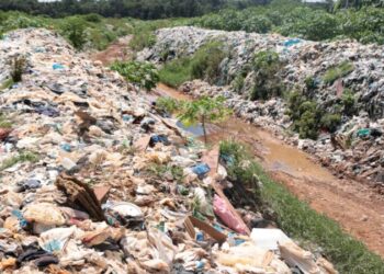 Amom Mandel aciona TCU e MPs para investigar aplicação de quase R$ 1 bilhão em Iranduba