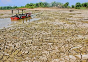 Nova ameaça de El Niño acende alerta para seca severa no Amazonas em 2026